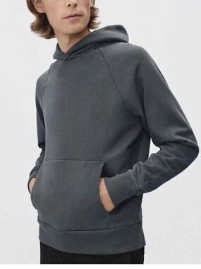 Everlane Charcoal Hoodie Pullover
